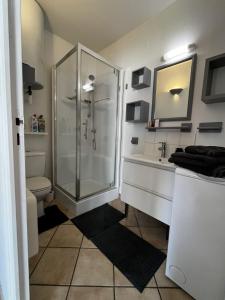 a bathroom with a shower and a sink at Studio La Parenthèse in Chinon