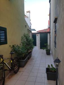 a bike parked next to a building with potted plants at Casa Arianna in Pellestrina