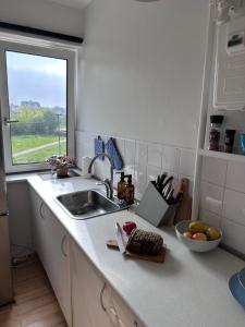 a kitchen with a sink and a bowl of fruit on the counter at CityZen Apartment CpH in Copenhagen