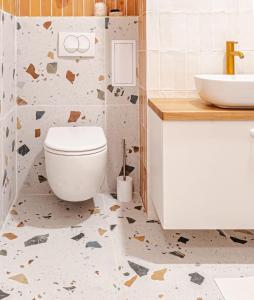 a bathroom with a toilet and a sink at Podkrovní Apartmán in Třebíč +3 photos