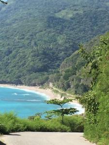 a view of a beach with trees and water at Two-Bedroom Apartment with Ocean View in La Ciénaga +21 photos