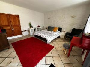 a bedroom with a bed and a red rug at Studio La Parenthèse in Chinon +5 photos