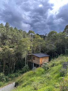 a wooden cabin in the middle of a forest at Casa dharma in Medellín