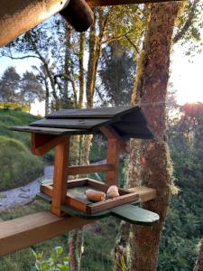 a wooden bird feeder hanging from a tree at Casa dharma in Medellín +5 photos