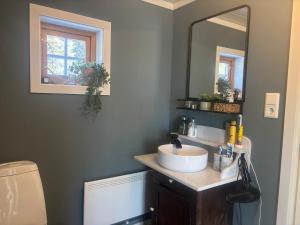 a bathroom with a sink and a mirror at Hannebu, hytte med 3 soverom, 2 bad og sovehems in Kyrkjebygdi +44 photos