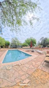a swimming pool in a yard with a tree at Horseshoe Tiny home in Scottsdale