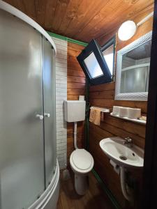 a bathroom with a toilet and a sink at Florea Cottage in Ulcinj +10 photos