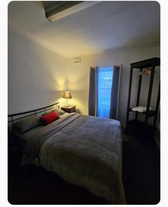 a bedroom with a large bed and a window at Euro Nomads in Melbourne