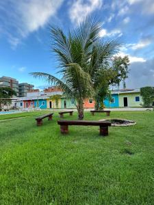 a group of benches in a park with a palm tree at Pousada Villa Japa in Maragogi