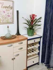 a desk with a potted plant on top of it at Jupiter in Split