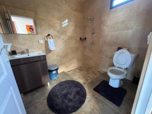 a bathroom with a toilet and a sink and a shower at Pautoora Lodge in Rurutu