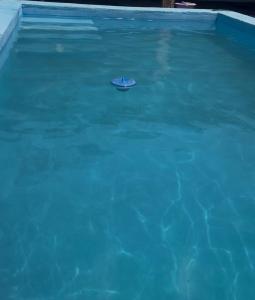 a blue swimming pool with a toy in the water at La Esperanza in Deán Funes