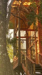 a tree house with a porch and a tree at Colibrí lodge in Recinto