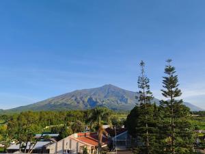 In der Ferne ein Berg mit Häusern und Bäumen in der Unterkunft BBIB Suites in Wonorejo