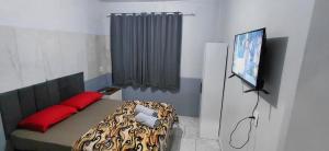 a room with a bed and a television in it at Pousada Familiar 01 in Rio do Sul