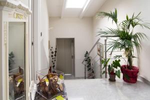Fotografija u galeriji objekta Pepe's Home B&B u gradu Nikelino