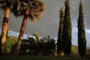 A garden outside Agriturismo Tenuta Sol Alto