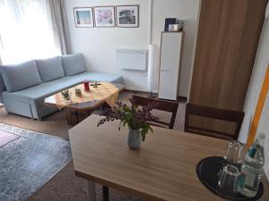 a living room with a couch and a table at Ferienhaus Olbersdorf in Olbersdorf