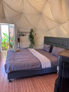 a bedroom with a large bed in a tent at Dome Gloria in Panjadakan