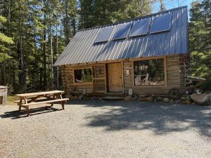 Eine Holzhütte mit Picknicktisch und Bank in der Unterkunft Mini Moo-light Cabin in Clearwater