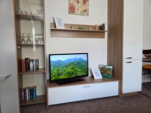 a flat screen tv sitting on a stand in a room at Ferienhaus Olbersdorf in Olbersdorf