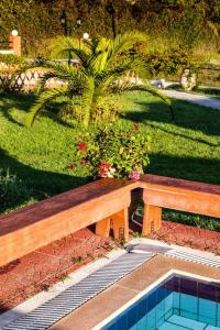a wooden bench in a park with a palm tree at Haroula Apartments in Sidari