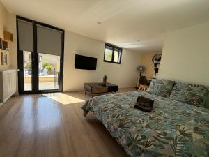 a bedroom with a bed and a flat screen tv at Ô'Bon'Endroit - Piscine, Calme, 20 min Lyon in Givors
