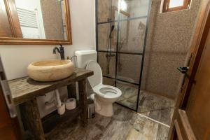 a bathroom with a sink and a toilet and a shower at Rácz Vadászkúria in Racoşu de Sus +51 photos