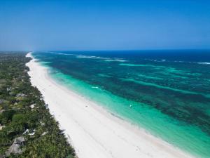 an aerial view of a beach with the ocean at Little Maua - Stylish Private Hideaway on Galu Beach in Galu +31 photos