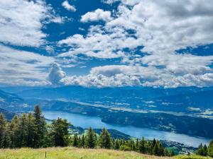 a view of a lake from the top of a hill at Ferienwohnung Amseltraum in Seeboden +7 photos