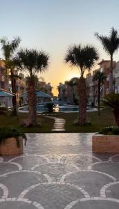 a stone walkway with palm trees in a city at Coin de Mire in Hammam Sousse