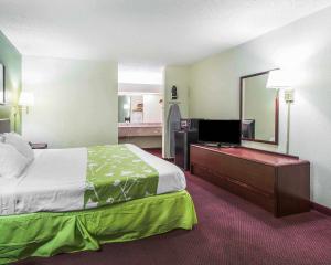a hotel room with a bed and a large mirror at Econo Lodge Dothan West in Dothan