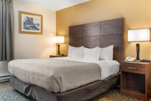 a large bed in a hotel room with two lamps at Quality Inn & Suites Manistique in Manistique +42 photos