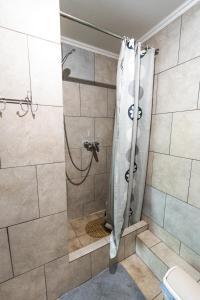 a shower with a shower curtain in a bathroom at Mini-hotel Franko Park in Lviv