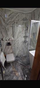a bathroom with a shower and a toilet and a sink at PENSIUNEA ETAP in Arad