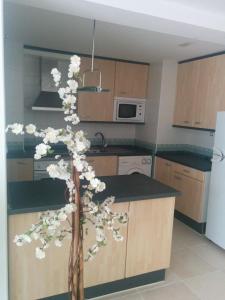 a kitchen with a tree with white flowers on it at Apartamento La Tramuntana in Benidorm