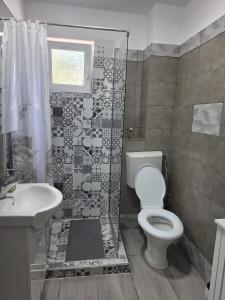 ein Badezimmer mit Toilette, Waschbecken und Dusche in der Unterkunft Studiouri Techirghiol in Techirghiol