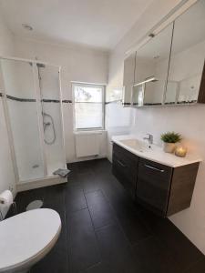 a bathroom with a sink and a shower and a toilet at Pension Lindenhof Drabsch in Neuzelle +10 photos