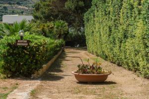 a garden with a flower pot next to a hedge at Blu Vacanze Apartments in Favignana +52 photos