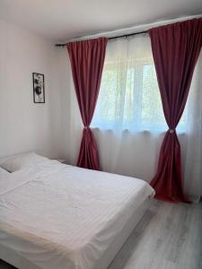 a bedroom with a bed and a window with red curtains at Nico's Place in Sînpetru