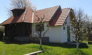 Zahrada ubytování Camp Viljamovka