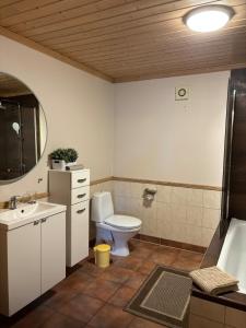 ein Badezimmer mit Toilette, Waschbecken und Badewanne in der Unterkunft Sandve in Sandve + 32 Fotos