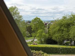 a view from a window of a park with trees at Giebelblick Barweiler in Barweiler