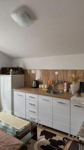a kitchen with white cabinets and a sink and a refrigerator at Seosko domaćinstvo Miko Merdović in Berane +16 photos