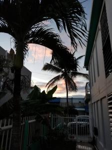 a palm tree in front of a house with a sunset at Charming 3-Bedroom House Steps from Luquillo Beach in Luquillo