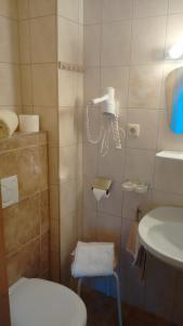 a bathroom with a shower with a toilet and a sink at Haus Stefan in Längenfeld