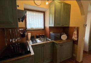 a kitchen with green cabinets and a sink and a microwave at L'Angulin in Vezzo