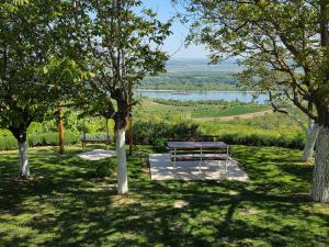 a park with a bench and a view of a lake at Casa Horizont in Slankamenački Vinogradi