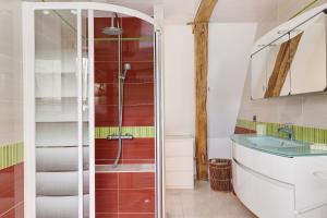 a bathroom with a shower and a sink at Gîte Roses De Loire in Bréhémont +17 photos