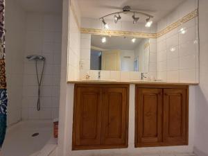a bathroom with a sink and a shower and a mirror at Ma maisonnette en Cévennes in Le Vigan